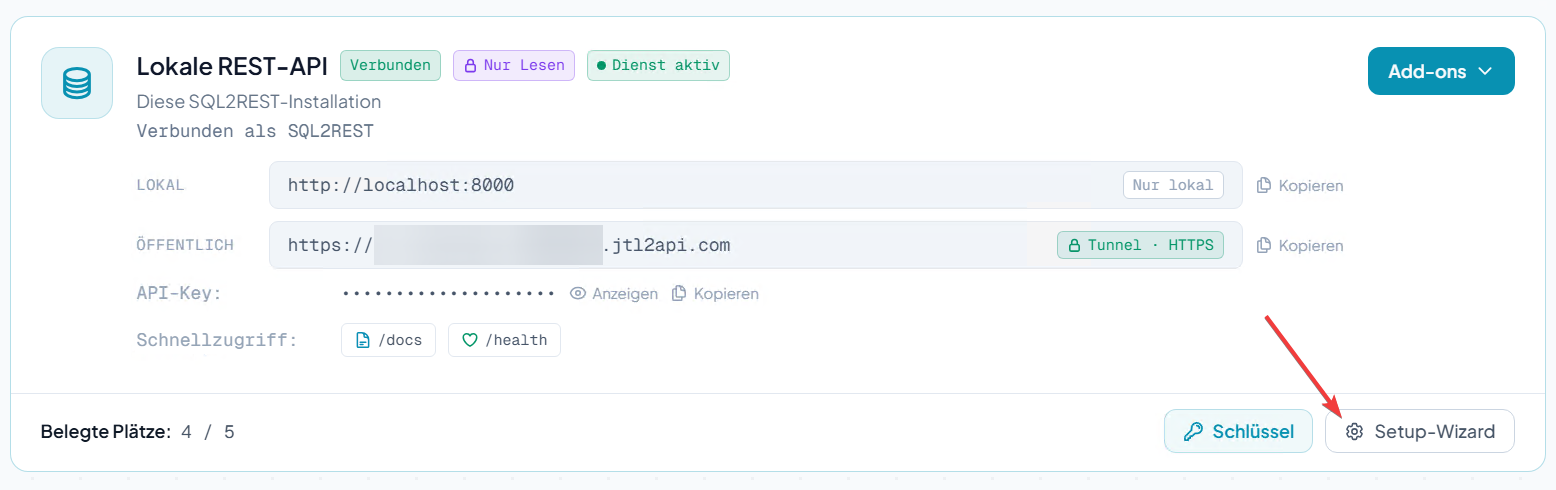API-Dashboard mit der Schaltfläche Setup-Wizard auf der Karte Lokale REST-API / API Dashboard showing the Setup-Wizard button on the Local REST-API card